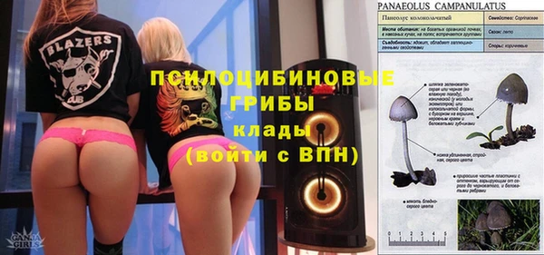 стафф Слюдянка